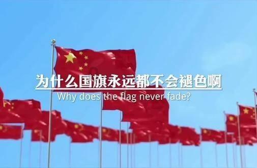 探索成都贷款可以找哪里?话题——成都贷款可以找哪里?红迪网平台